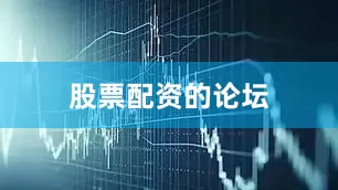 股票配资的论坛