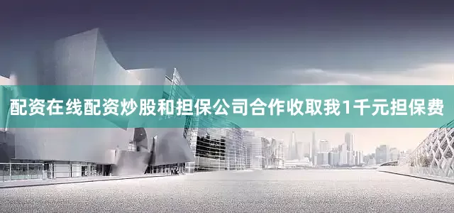 配资在线配资炒股和担保公司合作收取我1千元担保费
