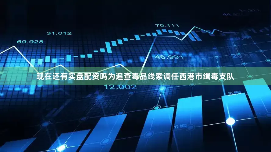 现在还有实盘配资吗为追查毒品线索调任西港市缉毒支队