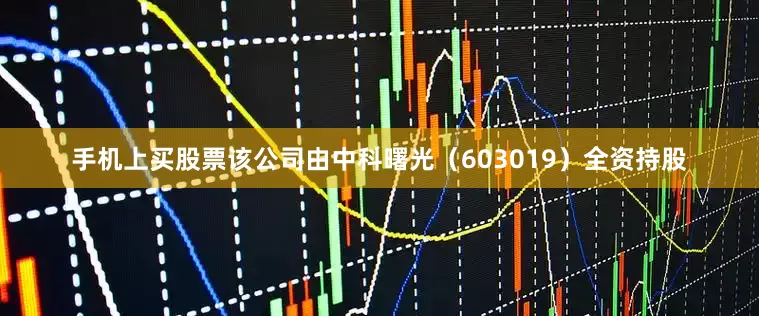 手机上买股票该公司由中科曙光（603019）全资持股