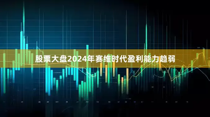 股票大盘2024年赛维时代盈利能力趋弱