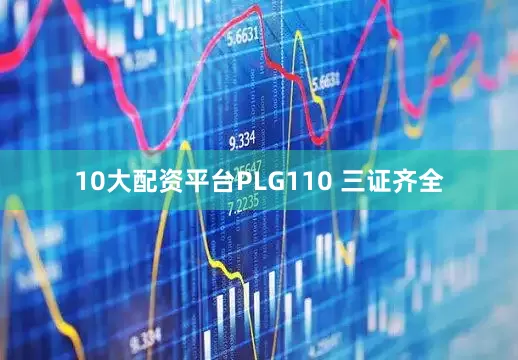10大配资平台PLG110 三证齐全