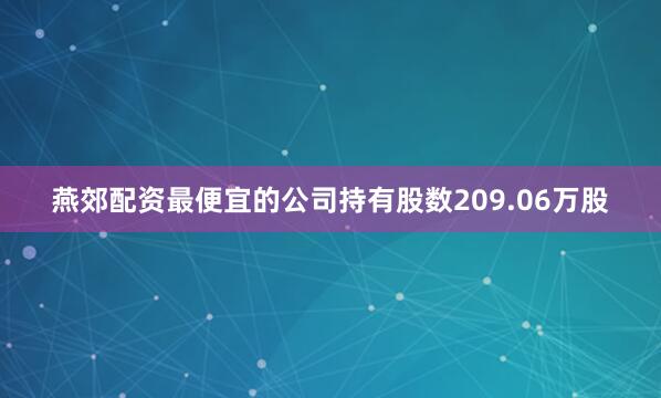 燕郊配资最便宜的公司持有股数209.06万股