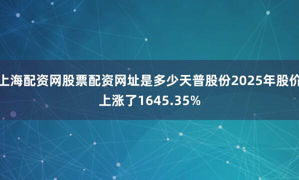上海配资网股票配资网址是多少天普股份2025年股价上涨了1645.35%