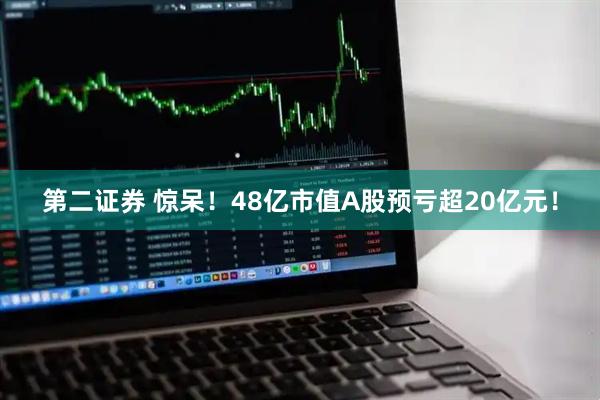 第二证券 惊呆！48亿市值A股预亏超20亿元！
